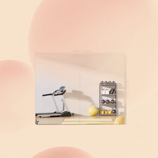 Fitness Studio Mirror - 图片 6